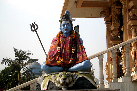 Temple in Delhi. Shiva Statue