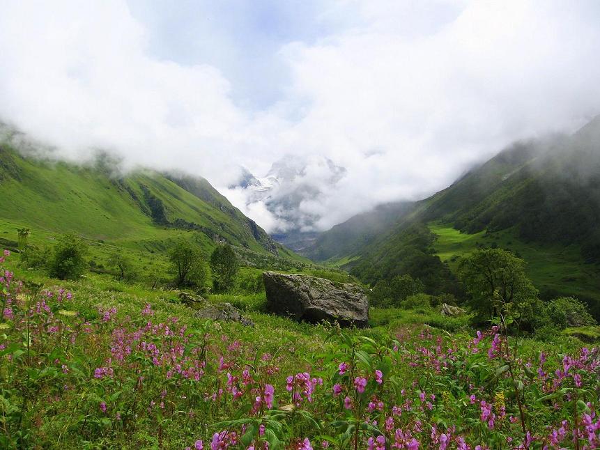 Национальные парки Нанда-Деви и «Долина Цветов» (штат Уттаракханд)